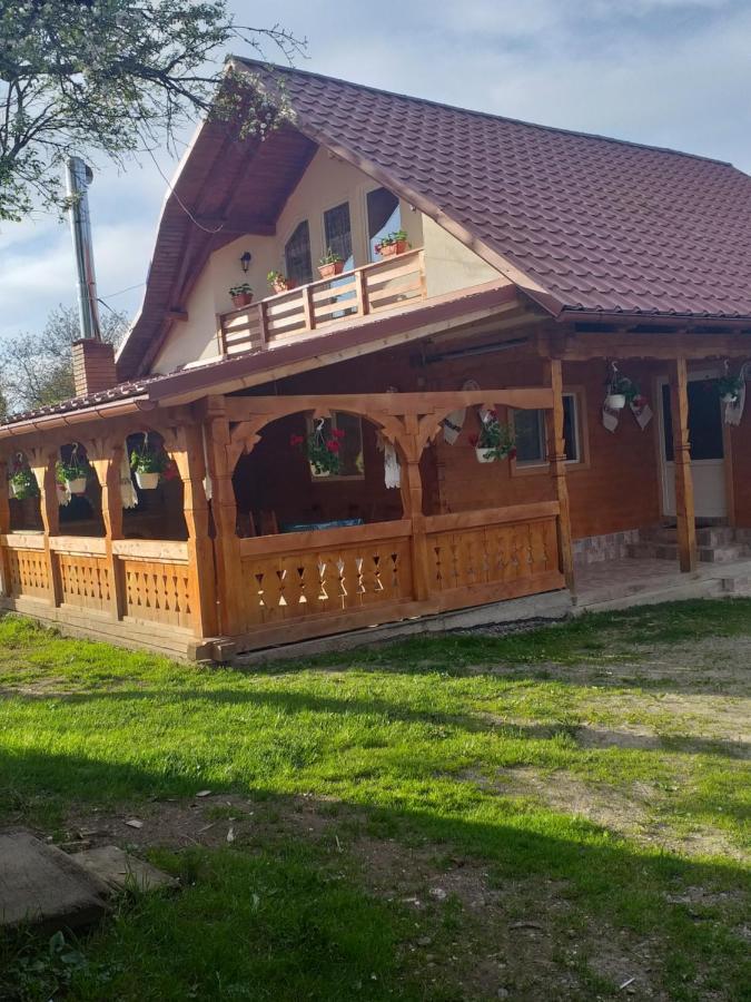Casa Alina Breb Guest House Екстериор снимка