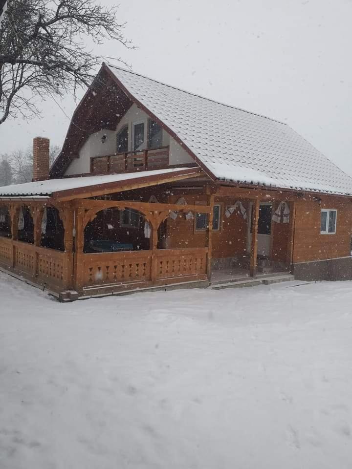 Casa Alina Breb Guest House Екстериор снимка